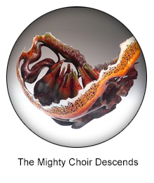 the mighty choir descends