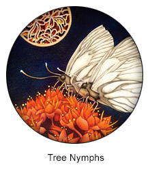 tree nymphs