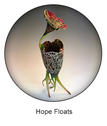 hope floats